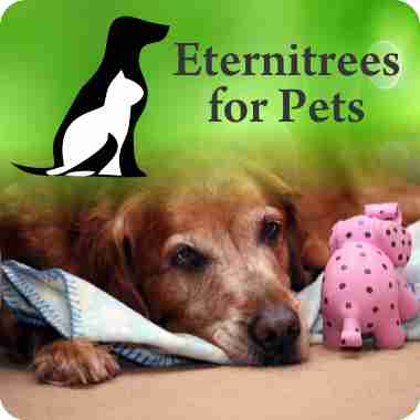 Biodegradable Urns for Pets