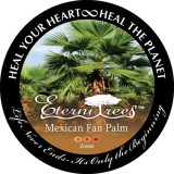 Mexican Fan Palm EterniTrees Urn for Pets