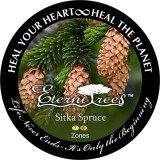 Sitka Spruce EterniTrees Urn for Pets