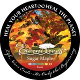 Sugar Maple EterniTrees Urn for Pets