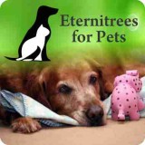 Urns for Pets